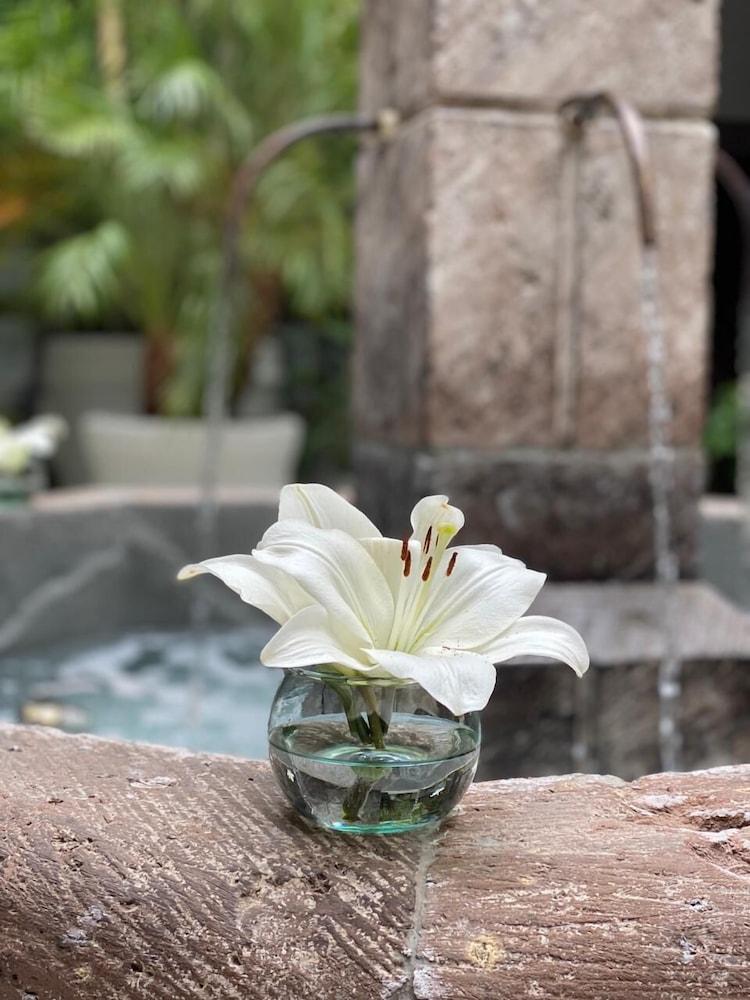 Hotel Boutique Hacienda Guadalupe San Miguel de Allende Buitenkant foto